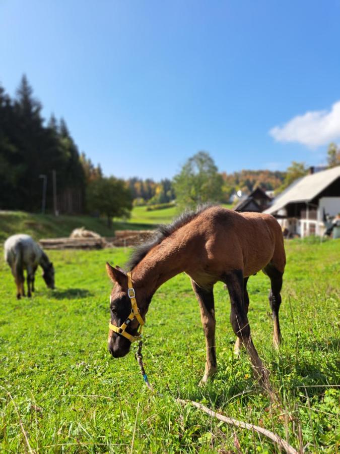Apartment Tourist Farm Pr' Maretc Bohinjska Bistrica
