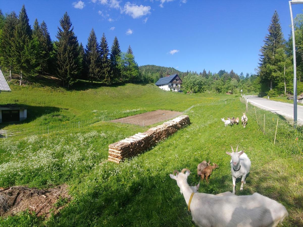 Tourist Farm Pr' Maretc Apartment Bohinjska Bistrica
